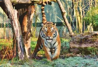 img of 图床